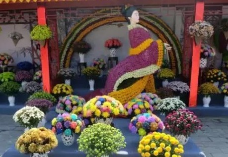 俏美|养花就养“七色花”,花开如彩虹般绚丽,呈现流光溢彩的俏美!