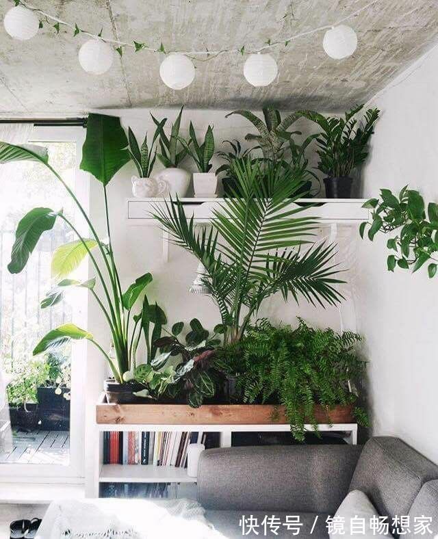 卫生间|大门正对卫生间的门怎么解决这些方法能帮到你!