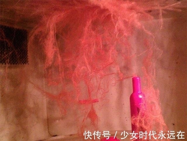 照片$30张“活久未见”的照片:被闪电击中的木头,好像一副国画