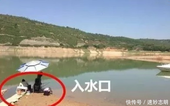 春钓浅滩?非也?老司机倾囊相授:这几个地方或许更藏鱼,莫不信