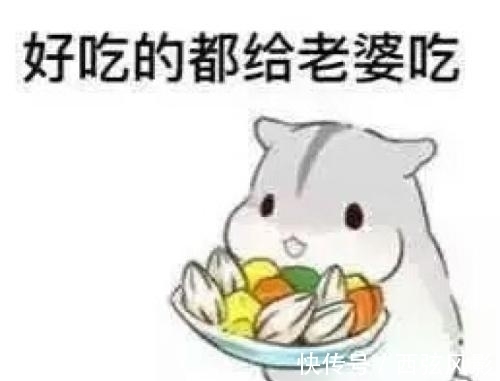 |搞笑段子集:哈哈哈哈哈哈哈哈哈, 施工队你们是来搞笑的吗