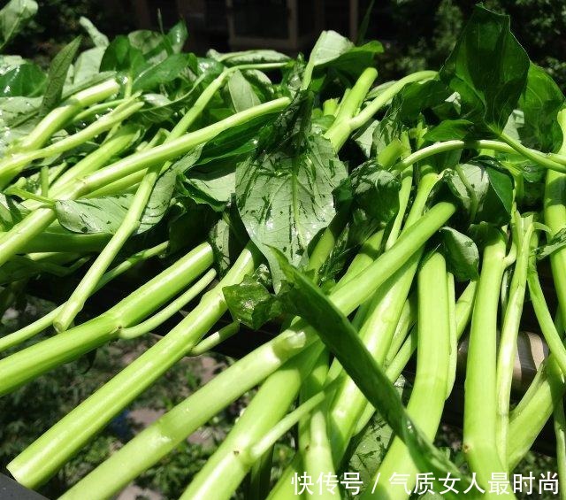 扑空心菜,爽口清脆最是下饭呢!