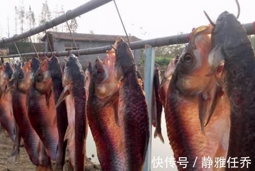 肉质|牢记这“5要点”,腌出的腊鱼经久耐放,肉质紧实香味十足
