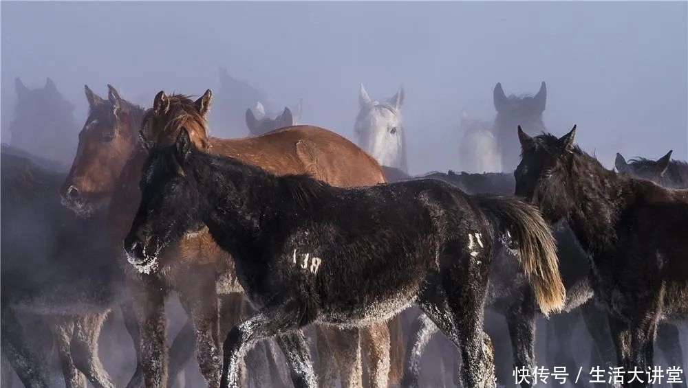 气势如虹|天马踏雪 气势如虹 动态国画来了 →