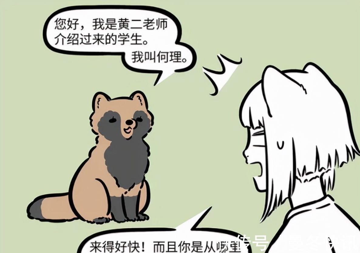 师妹|非人哉又有新角色!九月妹子喜提“师妹”,好期待她的人类形态