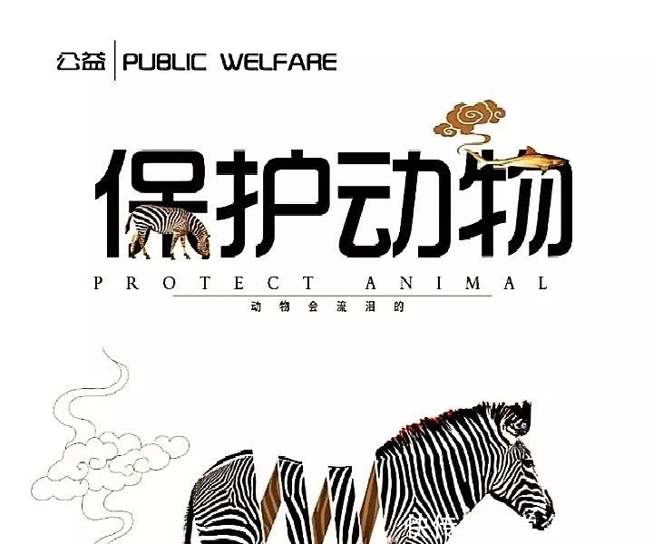 布鲁诺|人类的自大,烧死了布鲁诺