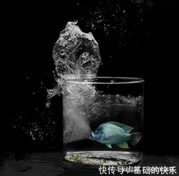 |内涵段子：我把睡衣脱掉了