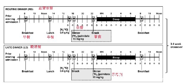 减肥期间|只吃水果就能减肥?最新研究揭示:比起吃什么,更重要的是何时吃