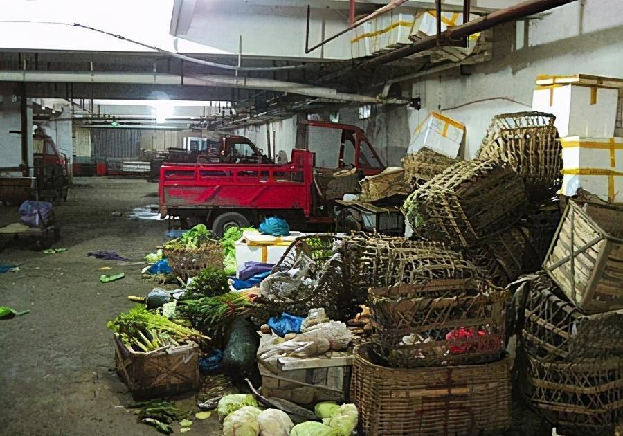 肥料|菜市场走一趟，0花费弄回半年的花肥，养花再也不用钱