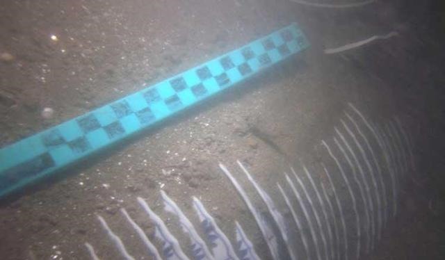 海底|真有海底宝藏康熙沉船5万件青花瓷,市值5亿美金无压力