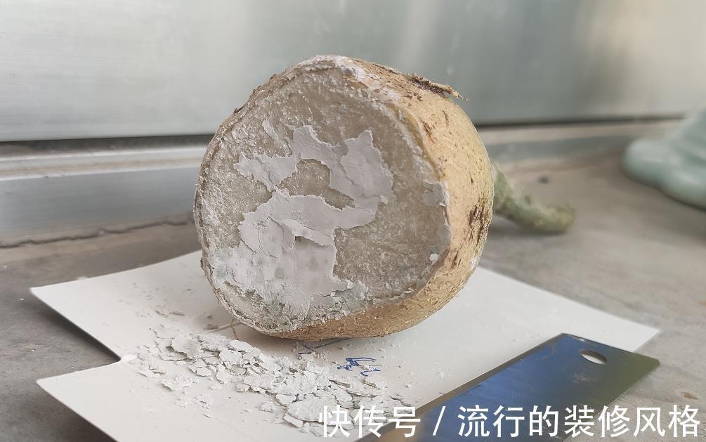 泡沫板|沙漠玫瑰好养开花多,如果养出“八爪鱼”根系,才是最美的