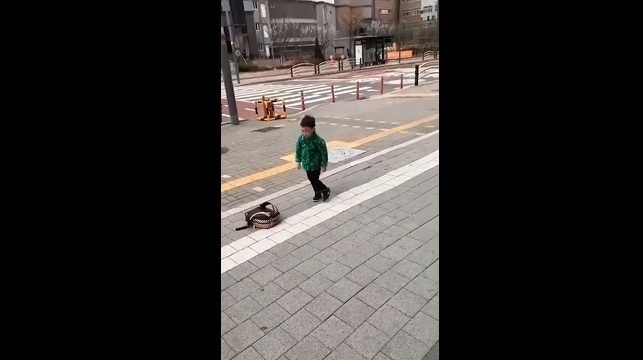 书包|4岁男孩不想上学,竟怒摔书包,下一秒向命运低头,网友:很男人