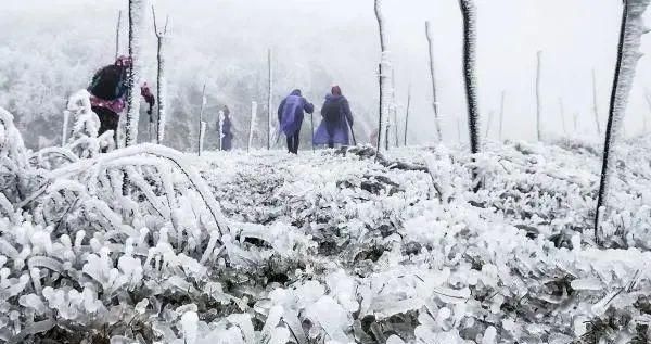 堪称|麻阳西晃山，雪中之景堪称奇峰异景