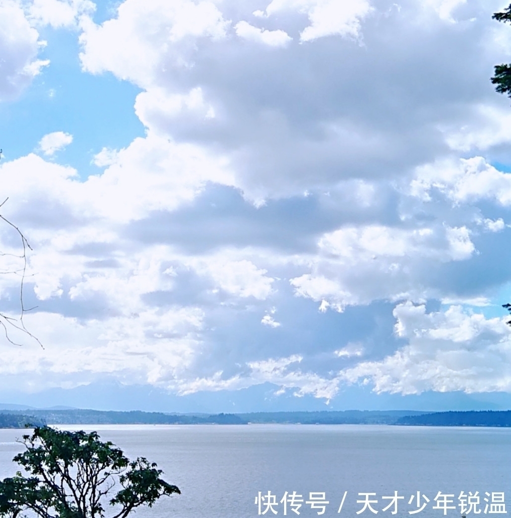 诗人!唐朝非顶流诗人的一首诗,仅有4句,成千古名作,入选课本