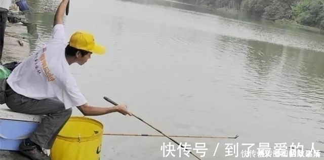 专攻大鲫鱼的2款特制饵料，上鱼速度真快其他统统靠边站