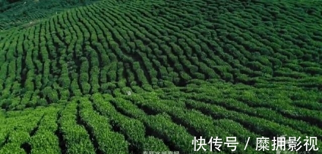 风景|这座夏天19℃的“蜜雪冰城”有多好吃？美食比成都更上头，风景比川西更惊艳！