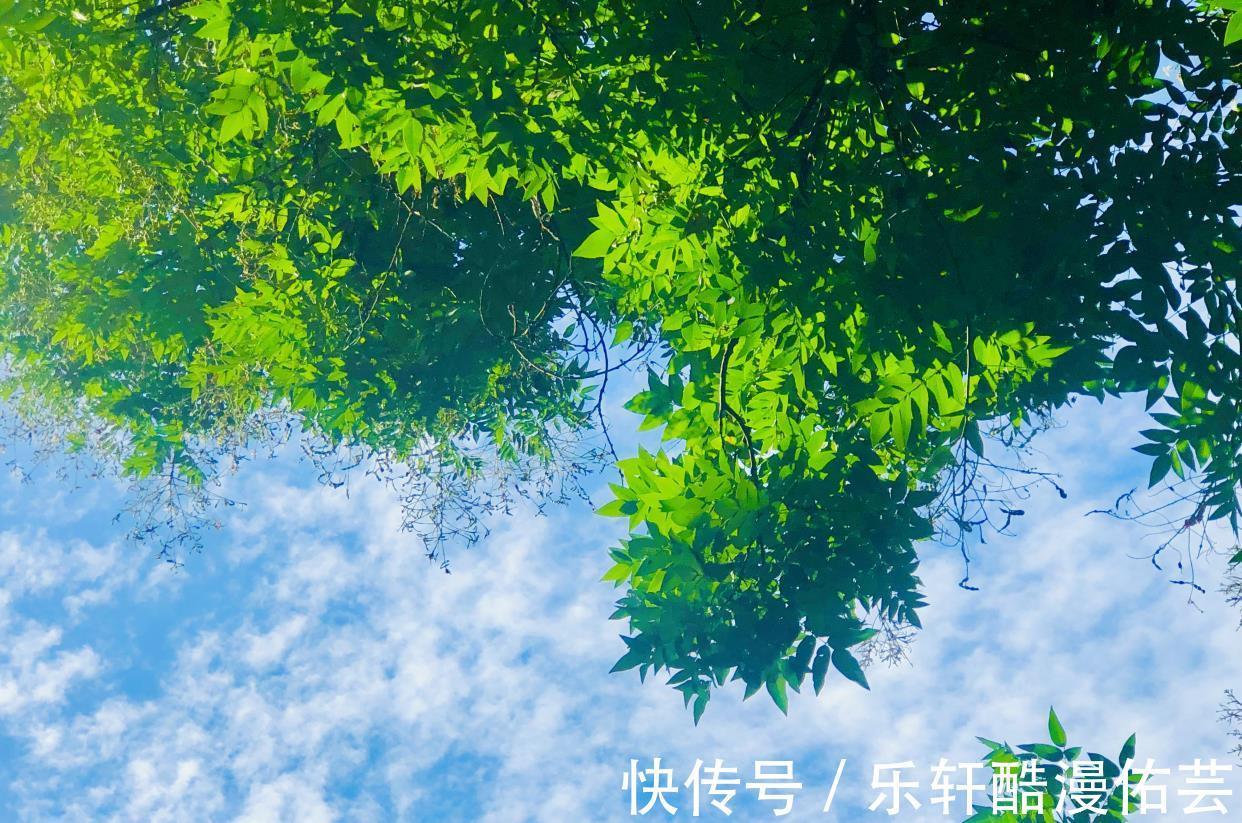 秋天|入秋以后，大鱼大肉靠边站，多吃“秋日五宝”，应季而食安稳过秋