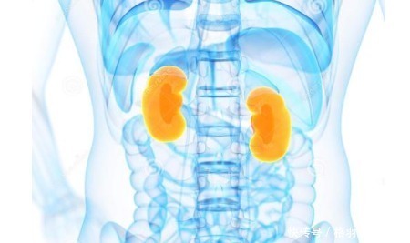 男人|男人每天排尿次数接近“这个数”,恭喜你,尿毒症会远离你!