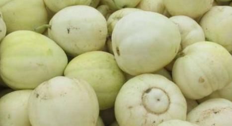 促進(jìn)小孩身體健康的3種食物，為了孩子的健康，再不舍得也要買