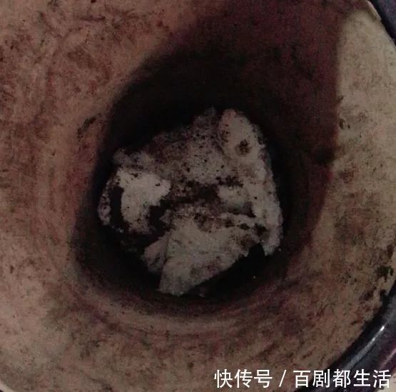 积水|养花必备“排水物”，解决养花人的大难题！