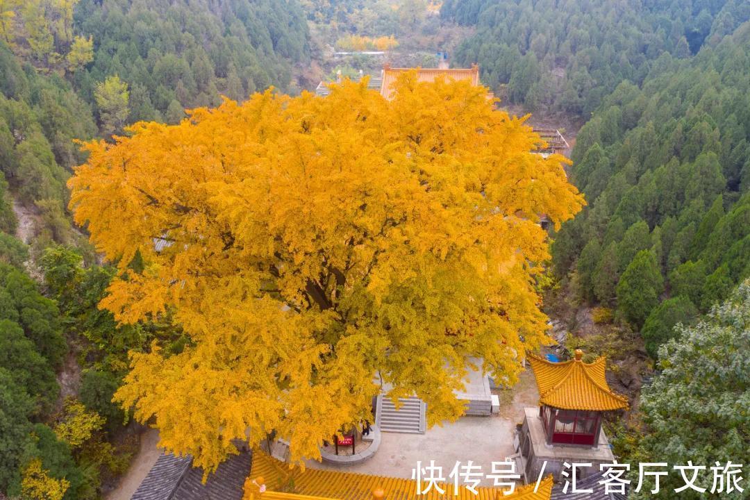 济南|比北京安逸，比青岛优雅，这个被老舍“表白”的城市，你去过吗？