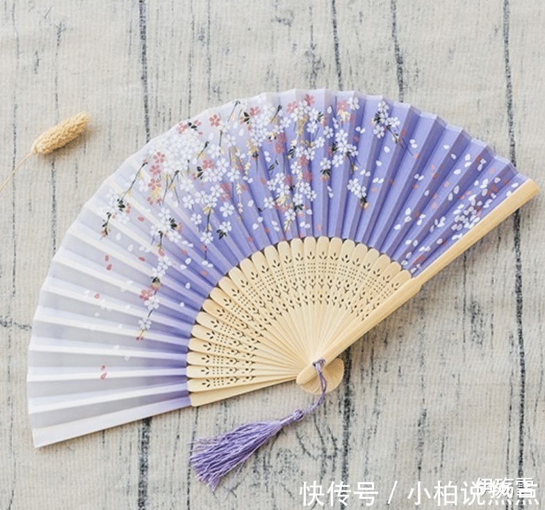 贾宝玉!人生若只如初见,何事秋风悲画扇丨探析《红楼梦》中折扇的作用