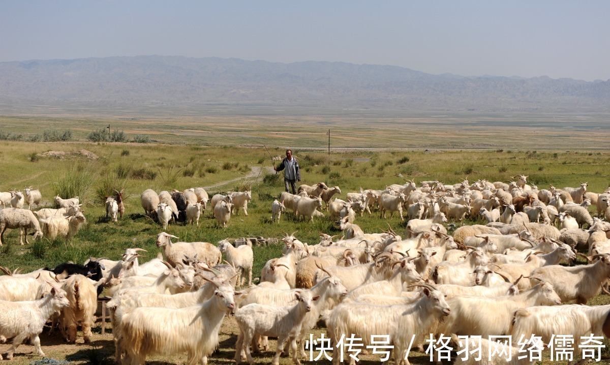 戈壁滩|戈壁滩上的百年古村，曾为戍边官兵养马备草，现仅剩一牧羊人坚守