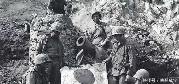 岛上|二战最不可思议的战争,岛上只有3条狗,美军为此死伤300人