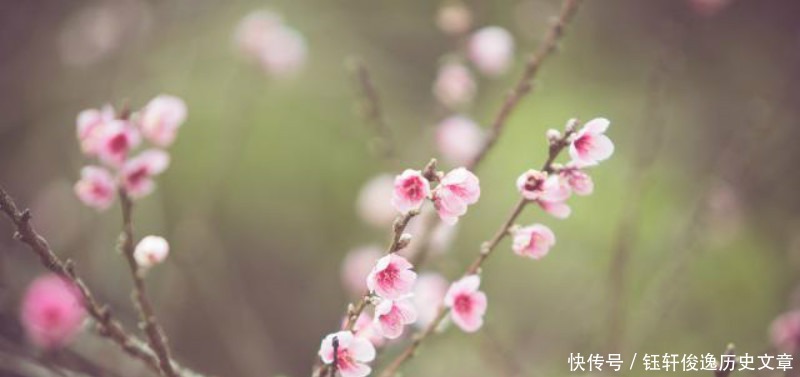 高明|李商隐很高明的一首诗,每一句都是数字开头,最后5个字神来之笔