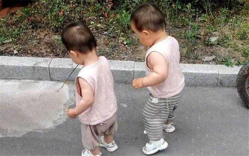 孩子|喝“母乳”和喝“奶粉”的孩子,一年后差距明显,事实胜于雄辩