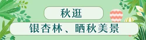 空铁|福州将建“空铁”线！又萌又厉害，你想坐吗？