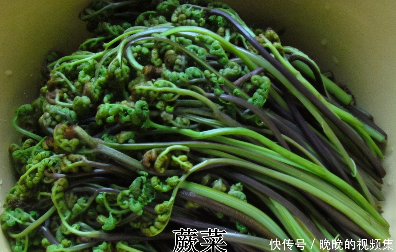 春天4对“双胞胎”野菜,很多人傻傻的分不清楚,你认识几种?