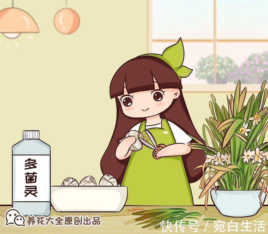 高锰酸钾|别再用多菌灵了！用它来代替，安全又好用