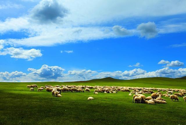 吉祥三宝|2006年，因春晚走红的吉祥三宝，竟已天人永隔，现状让人嘘唏不已