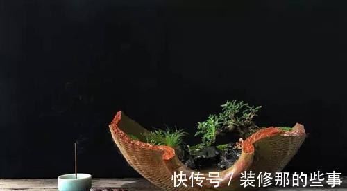 个性|破壶烂瓦做盆，每一个都破出了个性