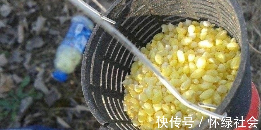 冬钓|冬钓时,唯独这3种窝料才最实用,简单又省事,大鲫鱼一诱一大群