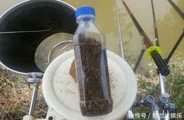 打窝子|打窝子的步骤,在实际垂钓中,如何操作