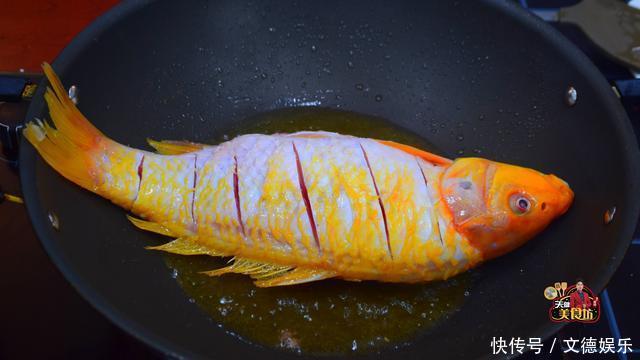  红烧燥火鲤最好吃的家庭做法，简单美味又下饭，看看你喜欢吃不