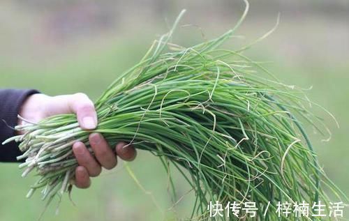 起阳草|这种野菜被称为“护肾草”，曾经是宫廷御膳，男人要多吃