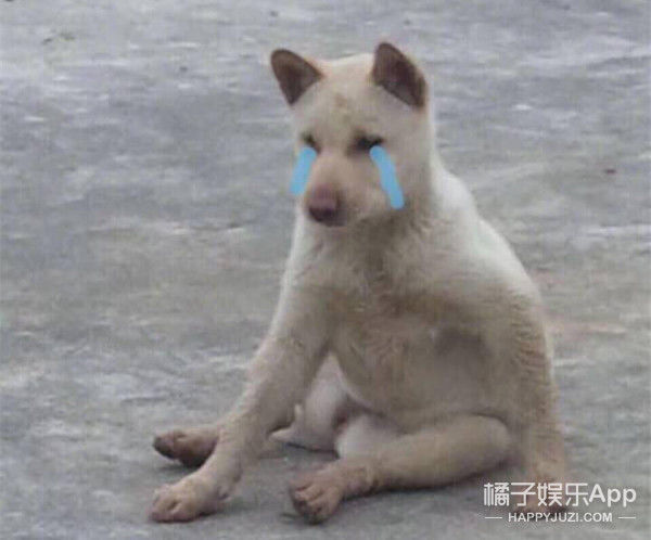 小时代|扒遍全网,终于知道他们去哪了…