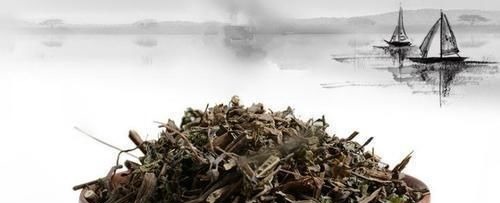 肾阳虚|肾阳虚、肾阴虚、肾气虚判断方法与解决方案都在这了