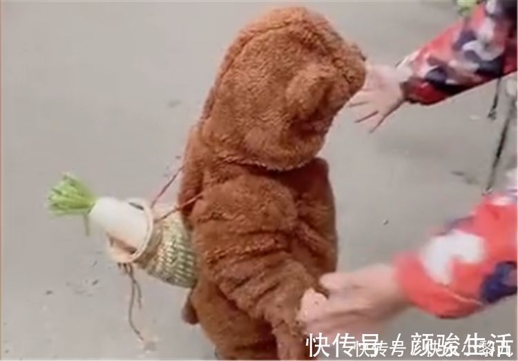 孩子|“熊孩子”获菜场大妈喜爱,送了一个大萝卜,抱起来笑得合不拢嘴