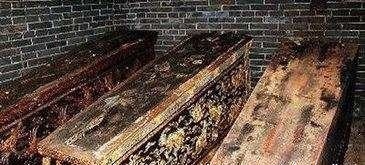 包青天|海贼王:路飞最后的战斗!我要成为最伟大的海贼王