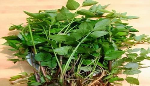 食物|会吃的人更健康,3种食物要多吃,补充营养、改善体质