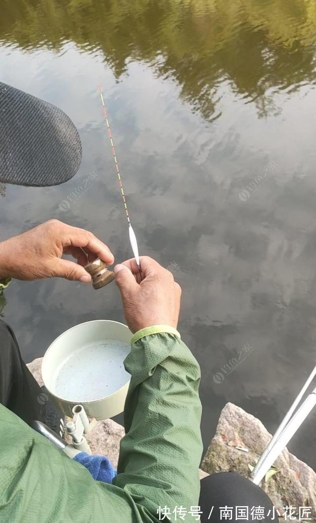 鲫鱼|向高龄钓友请教的“摇三摇”钓法，毫无保留的分享给大家