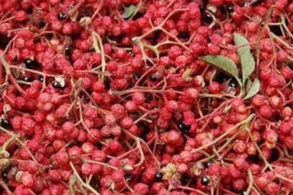 排毒|女人常用此物泡水喝,排毒祛湿,远离妇科炎症,子宫越来越好