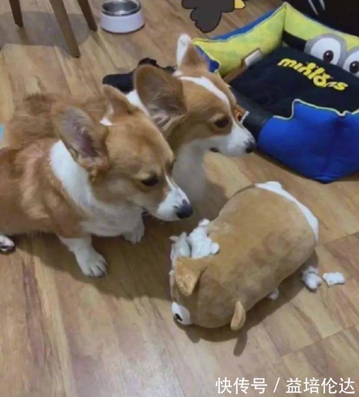 小姐姐|“画家会不会画人体,这都畸形了”哈哈哈哈胸骨严重前倾!!!!