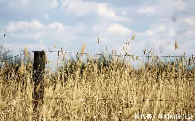 家庭|一个家庭,坚持这四个原则,孩子一定越来越有出息!