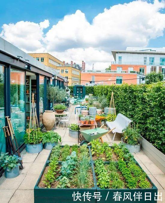 过上悠哉的小日子,不一定非要院子,有个阳台,一样可以养花种菜