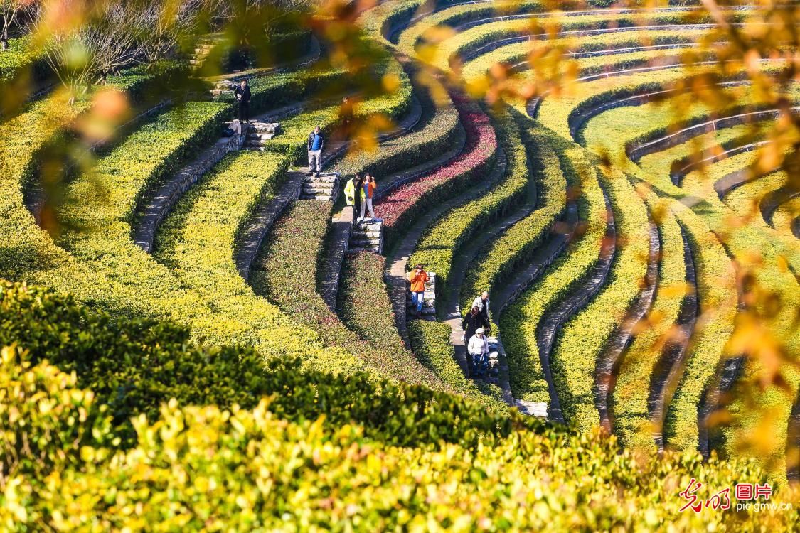 毕节市|锦绣梯田扮靓城市后花园